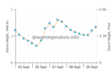 Castineiras wave height and direction