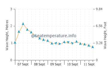 Castlepoint wave height and direction