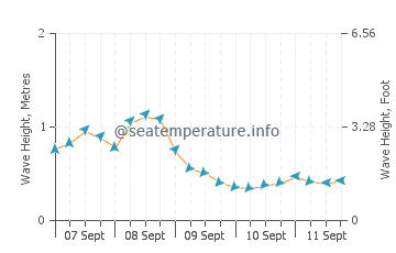 Catalina wave height and direction