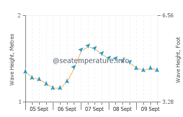 Caue wave height and direction