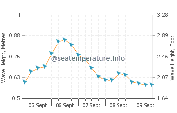 George Town wave height and direction