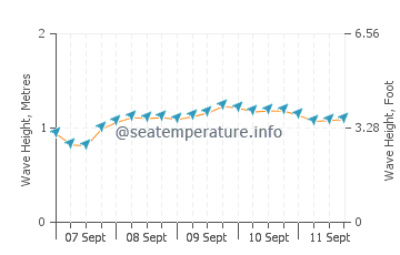 Chanduy wave height and direction