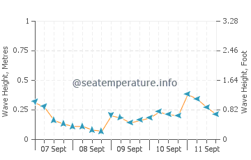 Chinhae wave height and direction