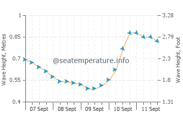 Chinook wave height and direction
