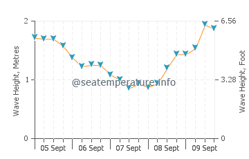 Cofete wave height and direction