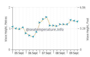 Coffin Bay wave height and direction