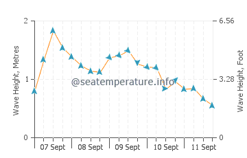 Cook Strait wave height and direction
