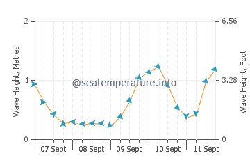 Coromandel wave height and direction