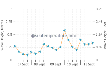 Coron wave height and direction