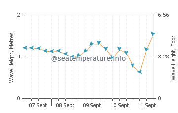 Currumbin wave height and direction