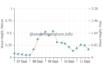 Cuyo wave height and direction