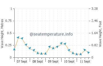 Dachangshandao wave height and direction