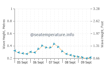 Dame Marie wave height and direction