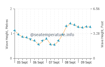 Deba wave height and direction