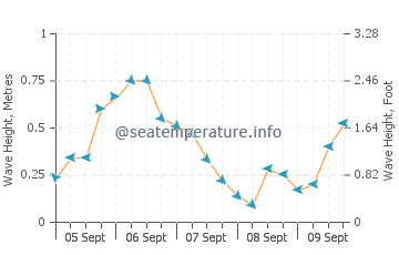 Debki wave height and direction