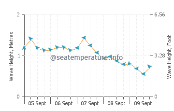 Dee Why wave height and direction