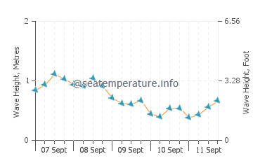 Didim wave height and direction