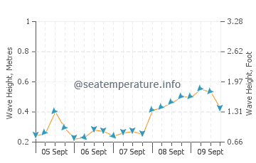 Dili wave height and direction