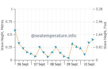 Dongying wave height and direction