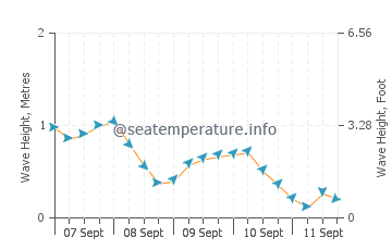 Dyer's Bay wave height and direction