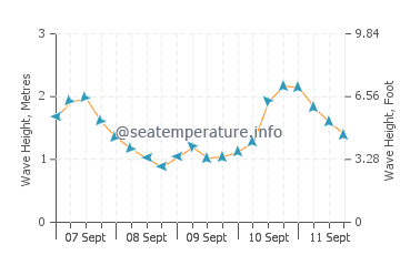 Eden wave height and direction