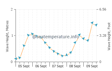 El Morche wave height and direction