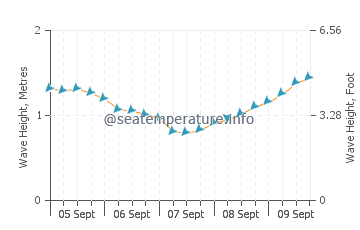 El Remo wave height and direction