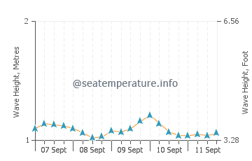 Electric Beach wave height and direction