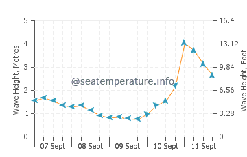 Elizabeth Beach wave height and direction