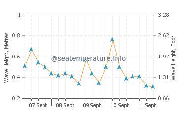 Enoshima wave height and direction