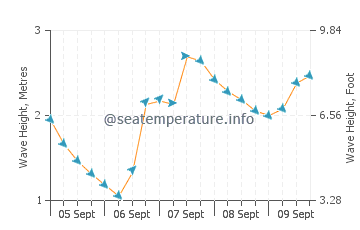 Estorde wave height and direction