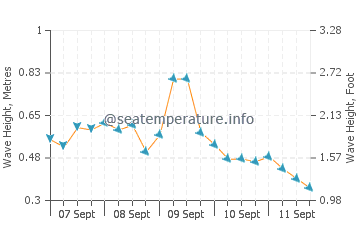Fatsa wave height and direction