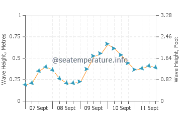 Findikli wave height and direction