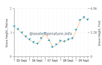 Flinders wave height and direction
