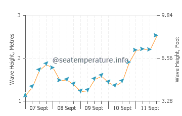 Gower wave height and direction