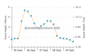 Gracetown wave height and direction