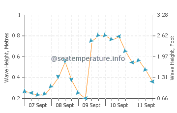 Grays Beach wave height and direction