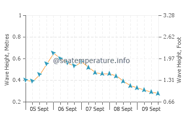 Gushikawa wave height and direction