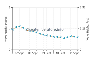 Hachinohe wave height and direction