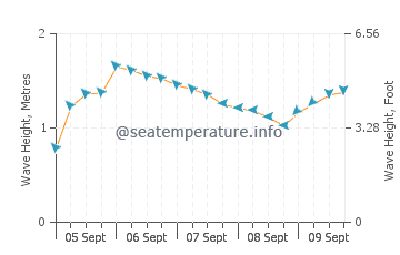 Hastings Point wave height and direction