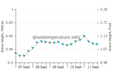 Hila wave height and direction