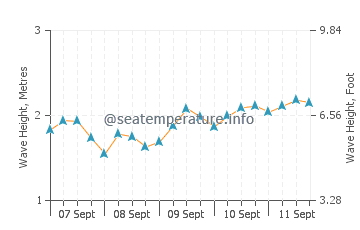 Hobyo wave height and direction