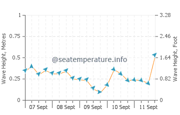 Homer wave height and direction