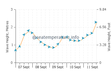 Houat wave height and direction