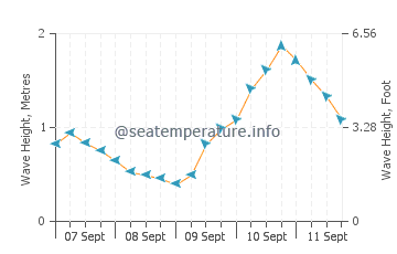 Huskisson wave height and direction