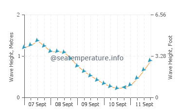 Igneada wave height and direction