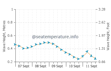 Irirum wave height and direction
