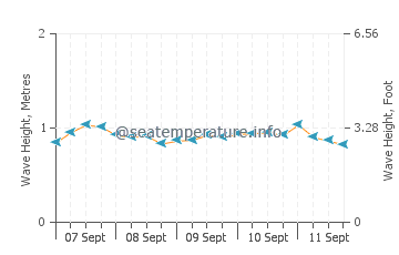 Island Harbour wave height and direction