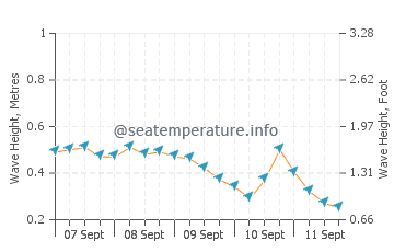 Kargicak wave height and direction