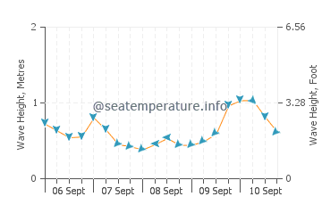 Katikati wave height and direction